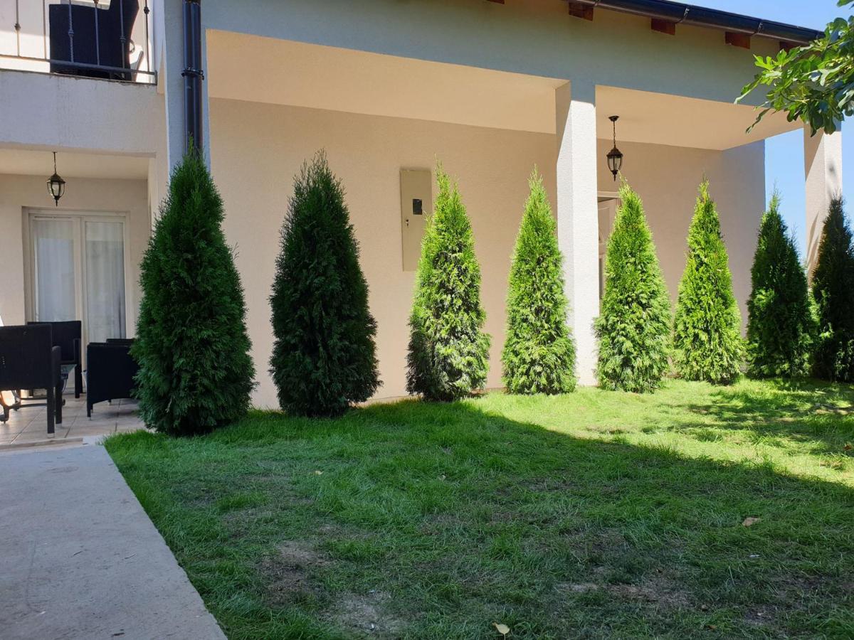 Kuca Ema Villa Belgrad Dış mekan fotoğraf