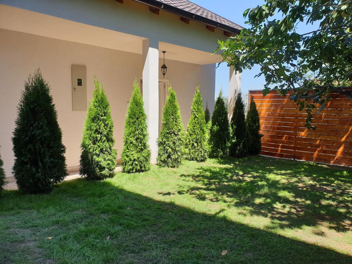 Kuca Ema Villa Belgrad Dış mekan fotoğraf