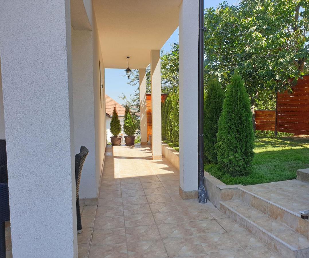 Kuca Ema Villa Belgrad Dış mekan fotoğraf
